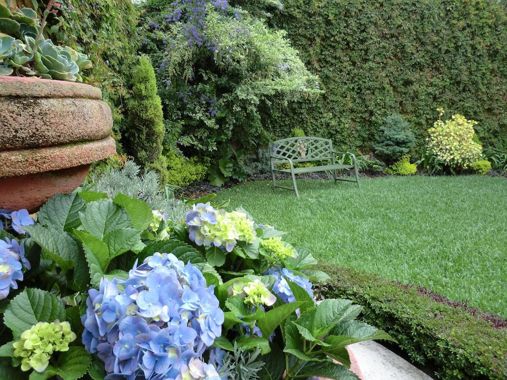 Hostal Villa Toscana Guatemala City ภายนอก รูปภาพ